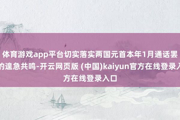 体育游戏app平台切实落实两国元首本年1月通话罢了的遑急共鸣-开云网页版 (中国)kaiyun官方在线登录入口