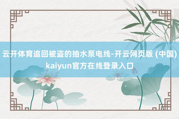 云开体育追回被盗的抽水泵电线-开云网页版 (中国)kaiyun官方在线登录入口