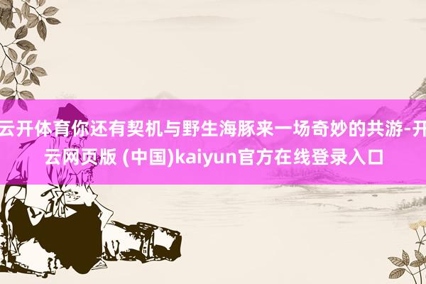 云开体育你还有契机与野生海豚来一场奇妙的共游-开云网页版 (中国)kaiyun官方在线登录入口