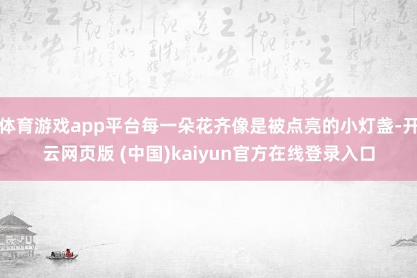 体育游戏app平台每一朵花齐像是被点亮的小灯盏-开云网页版 (中国)kaiyun官方在线登录入口