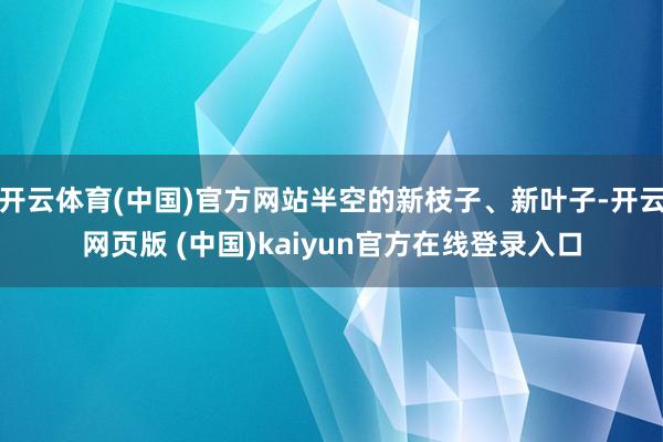 开云体育(中国)官方网站半空的新枝子、新叶子-开云网页版 (中国)kaiyun官方在线登录入口