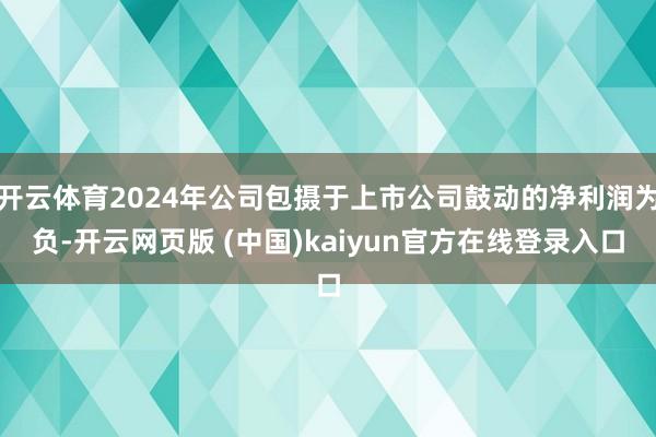 开云体育2024年公司包摄于上市公司鼓动的净利润为负-开云网页版 (中国)kaiyun官方在线登录入口