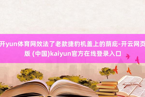 开yun体育网效法了老款捷豹机盖上的荫庇-开云网页版 (中国)kaiyun官方在线登录入口