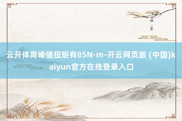 云开体育峰值扭矩有85N·m-开云网页版 (中国)kaiyun官方在线登录入口