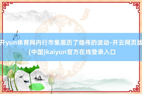 开yun体育网内行市集履历了雄伟的波动-开云网页版 (中国)kaiyun官方在线登录入口
