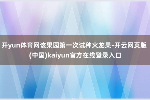 开yun体育网该果园第一次试种火龙果-开云网页版 (中国)kaiyun官方在线登录入口