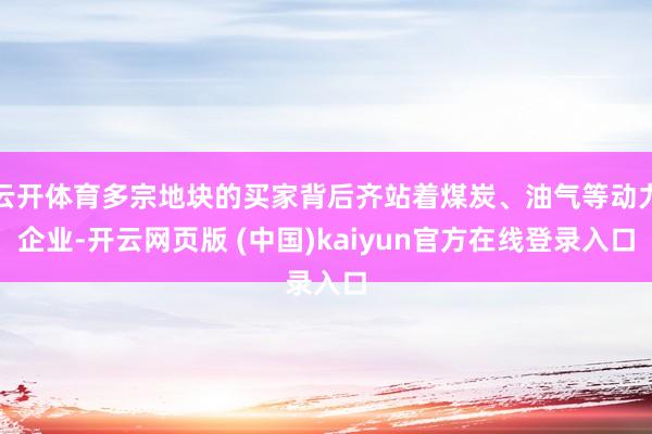 云开体育多宗地块的买家背后齐站着煤炭、油气等动力企业-开云网页版 (中国)kaiyun官方在线登录入口